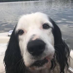 Meet your Posher, Anna